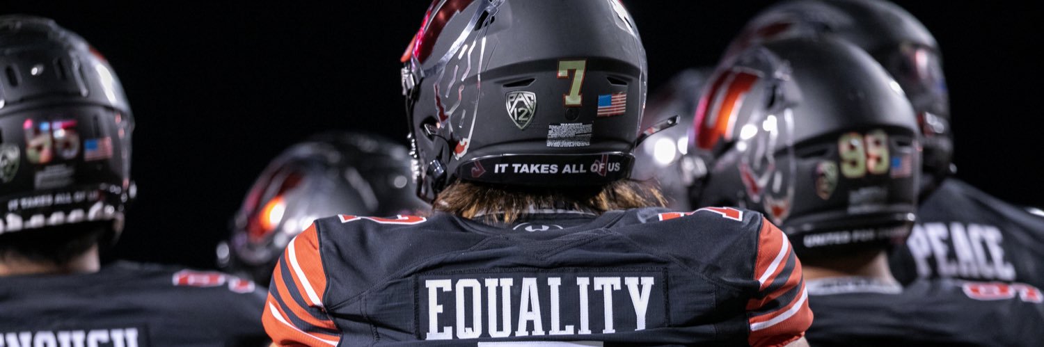 Van Fillinger banner