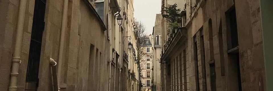 algolipma's profile banner image