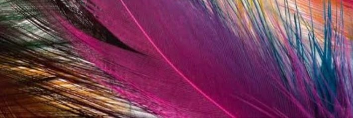 deepikaverma001's profile banner image