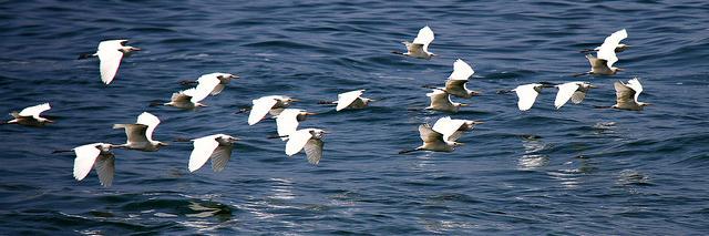 SubhashiniAbeysinghe banner