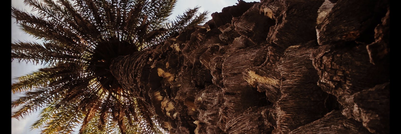 wardabaloch10's profile banner image
