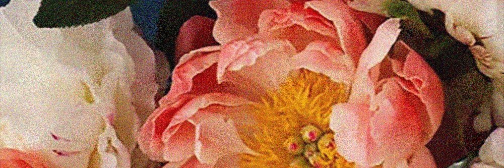 vicwardness's profile banner image