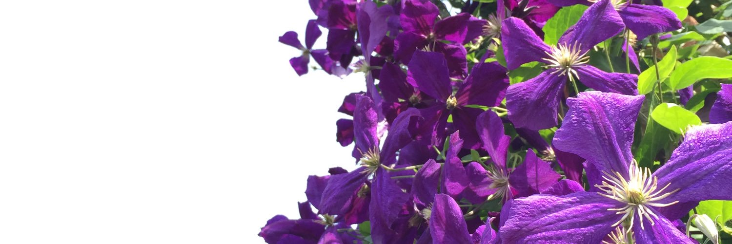 yopidas's profile banner image
