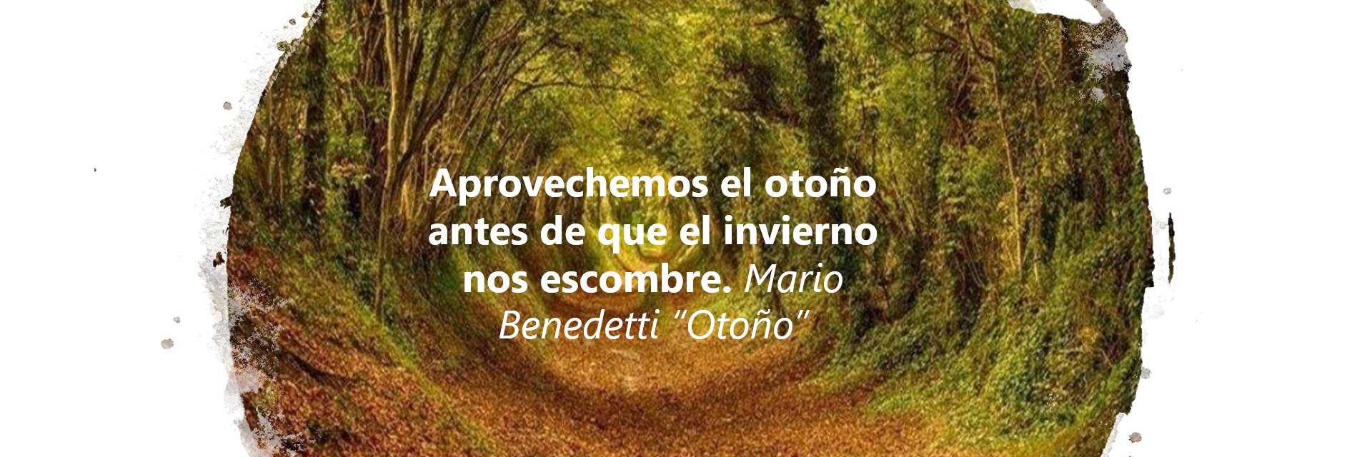 Paco Paquito 🙌🙌🙌 banner