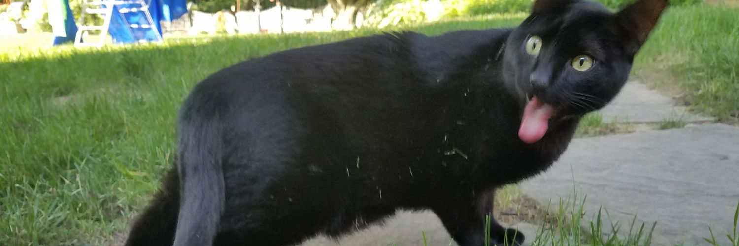 ectoplasmeg's profile banner image