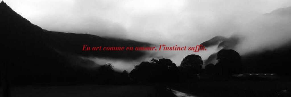 s. banner