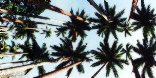 TooMuchReaILife's profile banner image