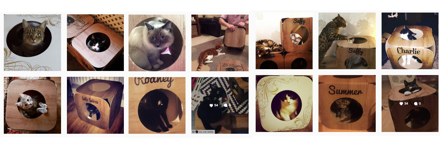 Cat FurNature banner