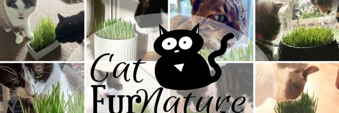 CatFurNature's profile banner image