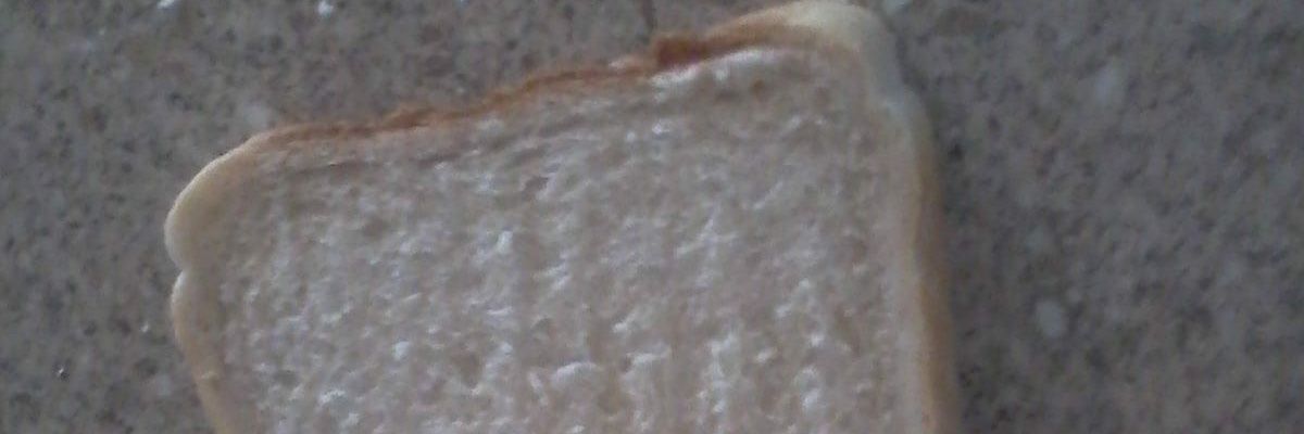 tillythekitten's profile banner image