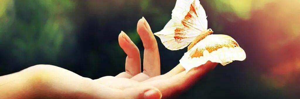 SheethuSurya's profile banner image