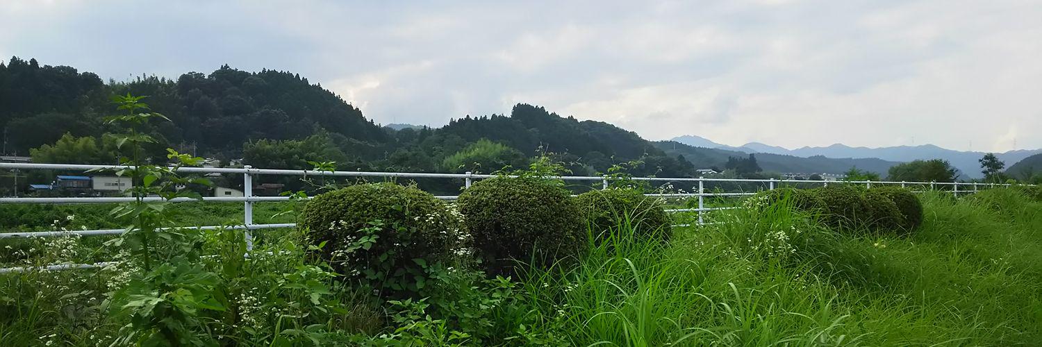 yuhin0's profile banner image