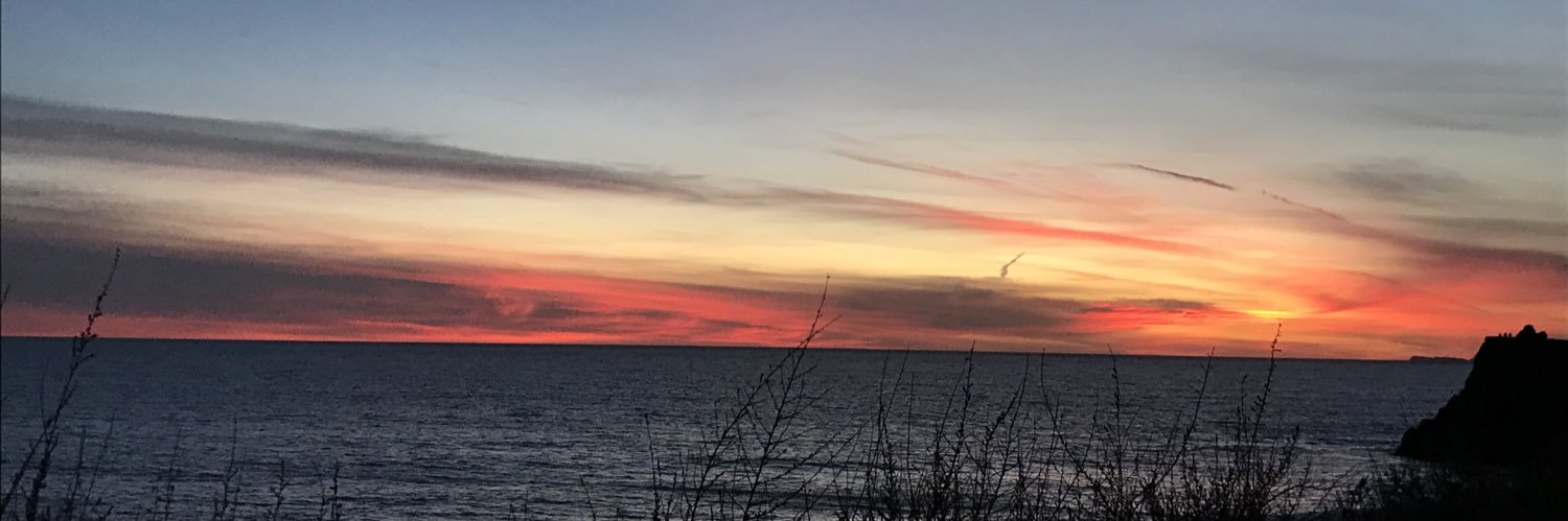 HayleeFlores's profile banner image