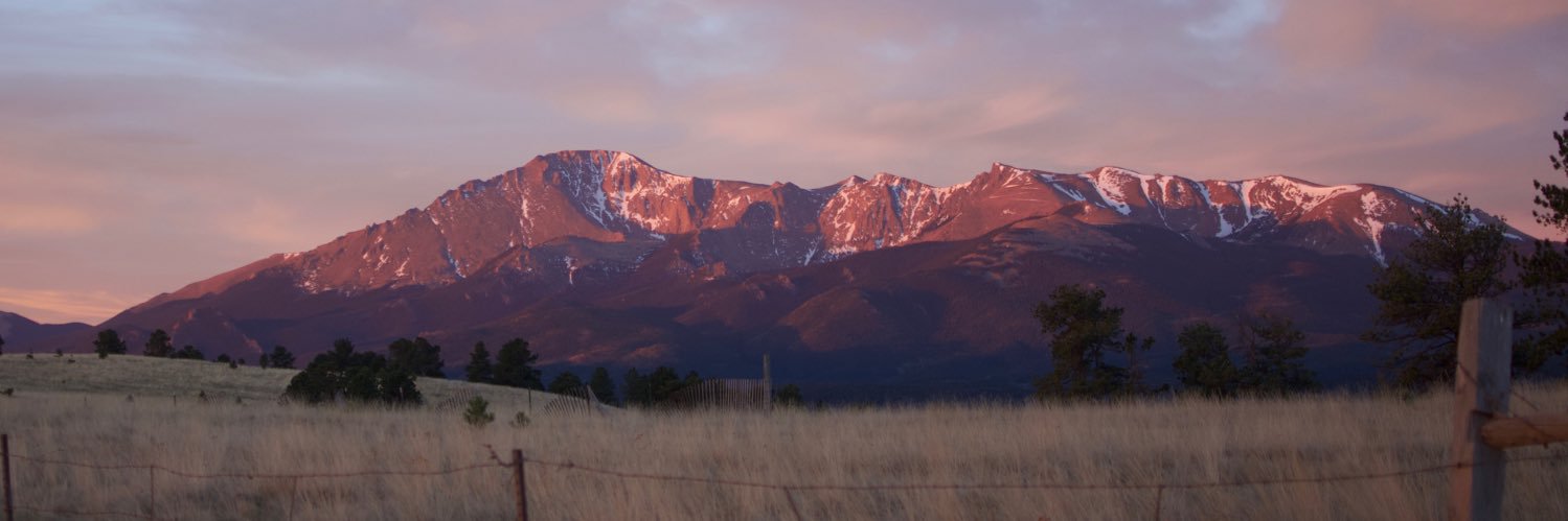 TaylorThePoet's profile banner image