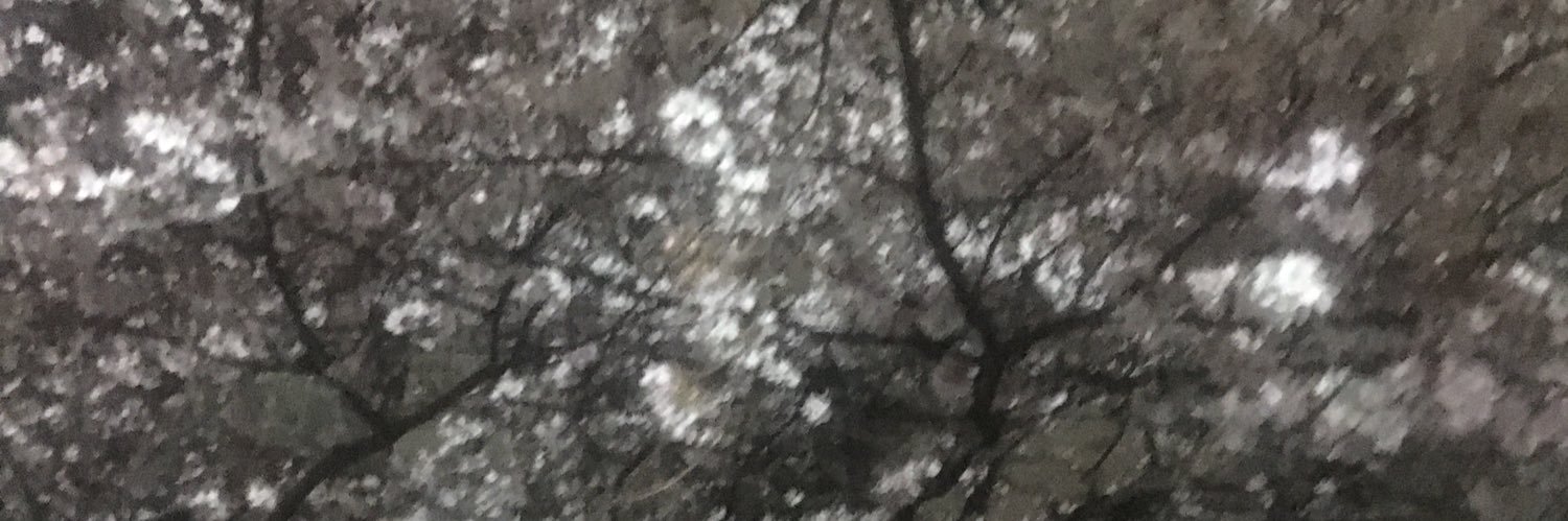 june⭐︎じゅん⭐︎ banner