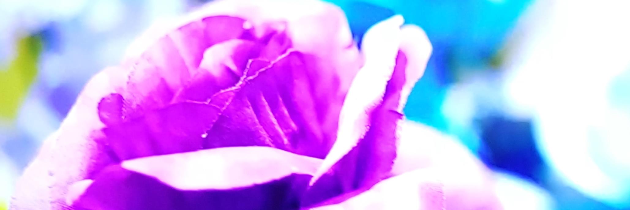 g4greko's profile banner image
