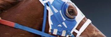 Jim Arce banner