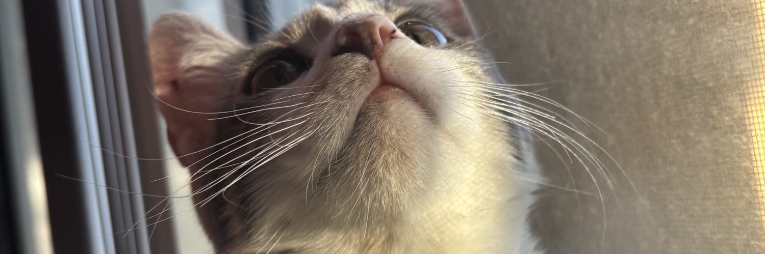 notabigael's profile banner image