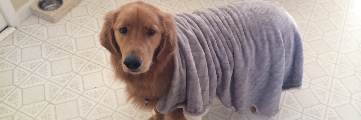 Michael Pearson banner