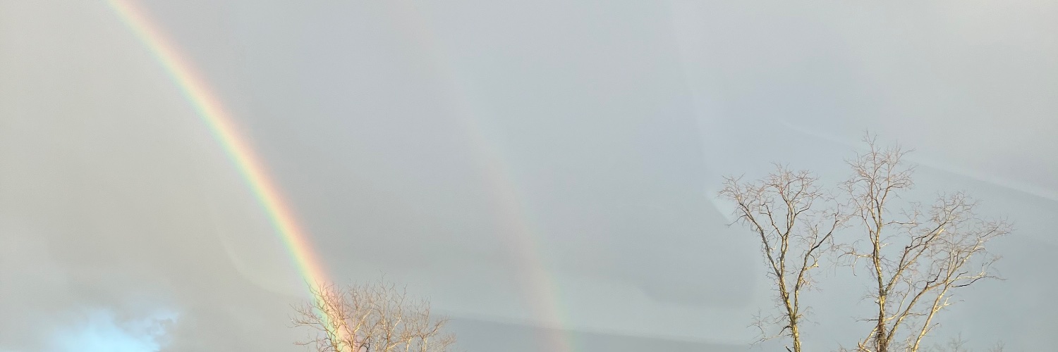 enigma_77's profile banner image