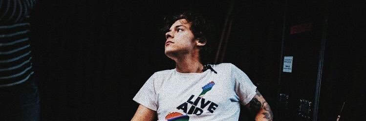 Chicken Fillet banner