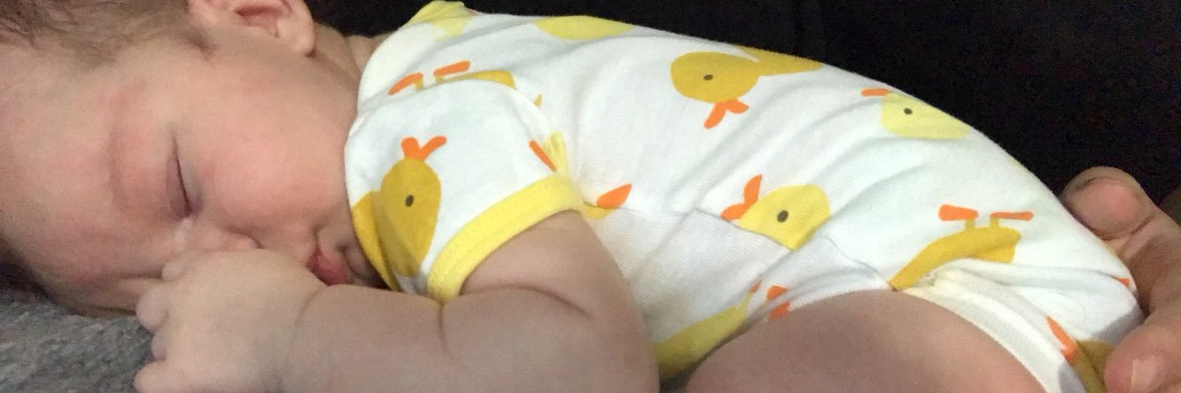 lilypreston's profile banner image
