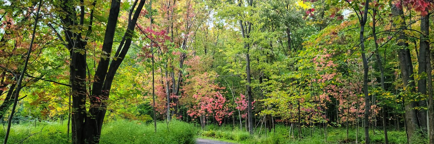 Josée 🇨🇦 banner