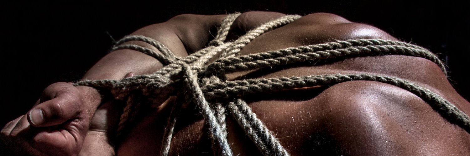 tygeryoshi.bsky.social banner