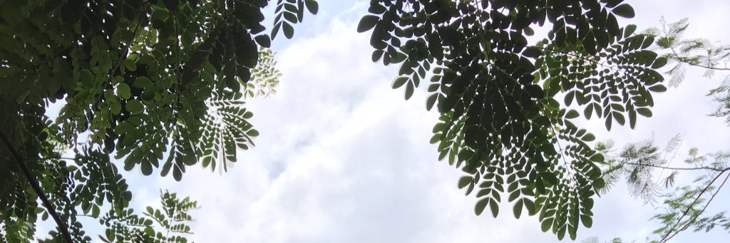 ishvin_'s profile banner image