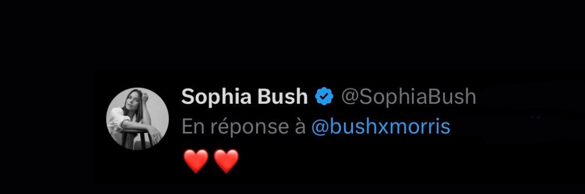 bushxmorris's profile banner image