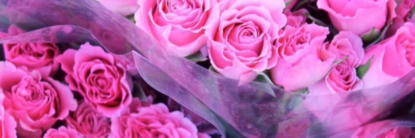 tarisalam's profile banner image