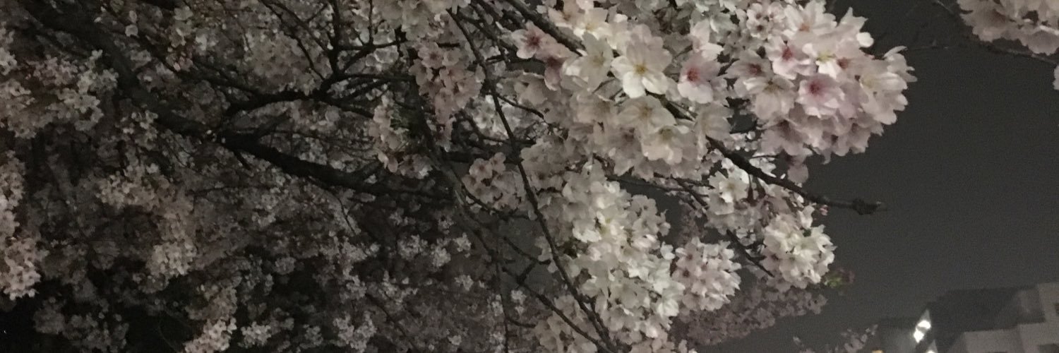 cherry_b_'s profile banner image