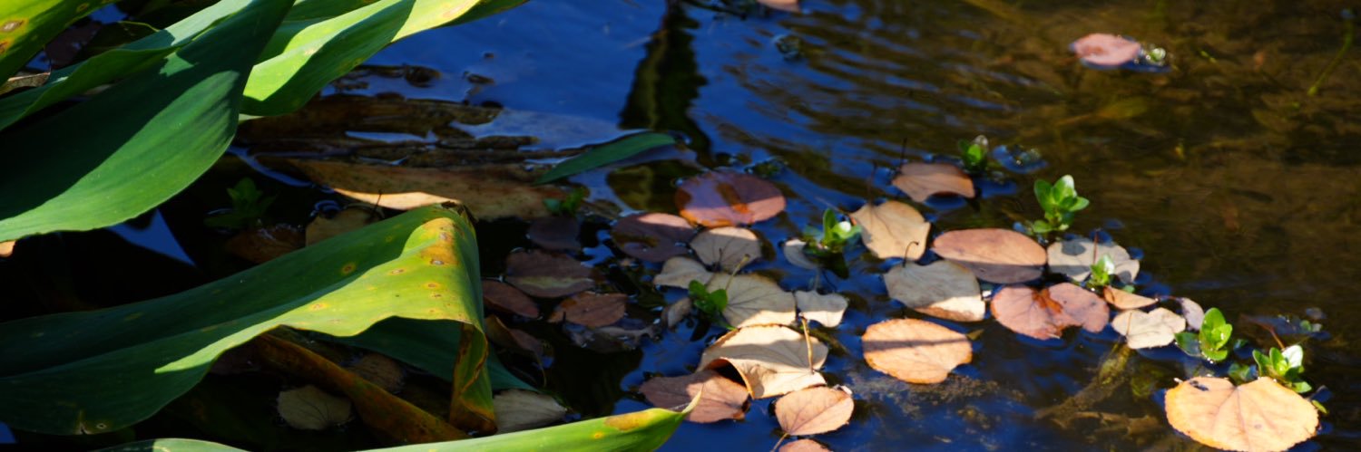 Umo_dori's profile banner image