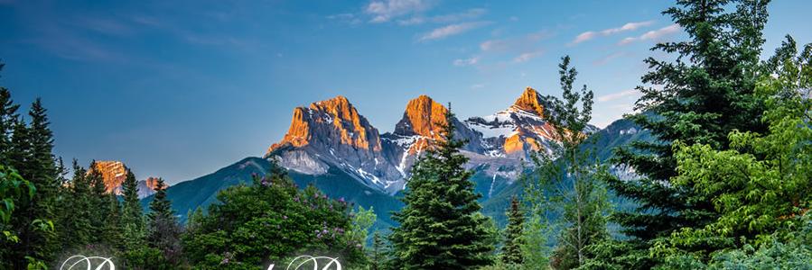 Mountain Standard banner