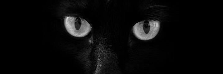 guaiye's profile banner image