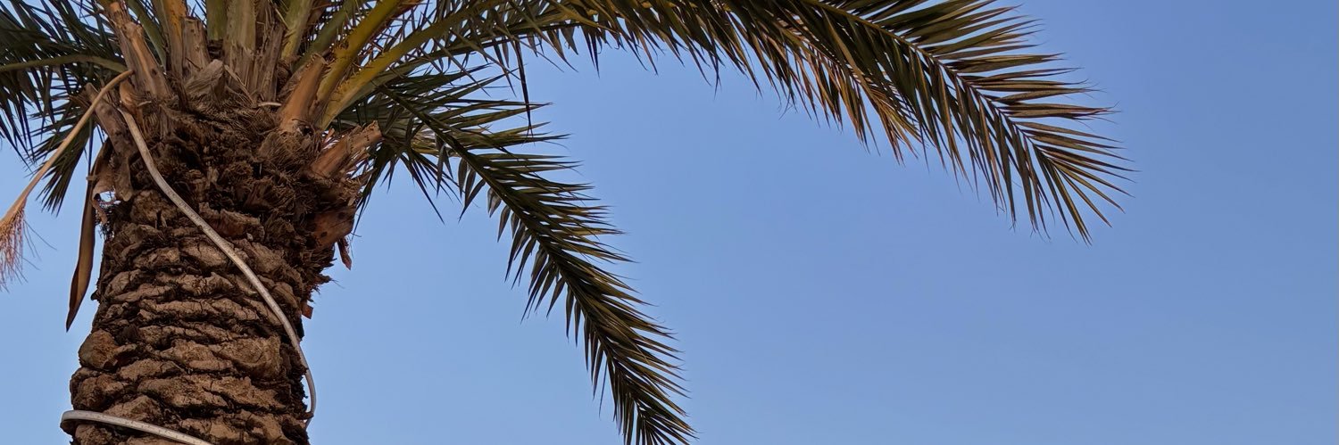 claraglv's profile banner image