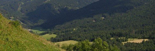 aass134548's profile banner image