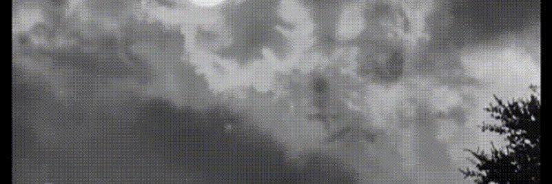 *EL ZORRO*⚔️ banner