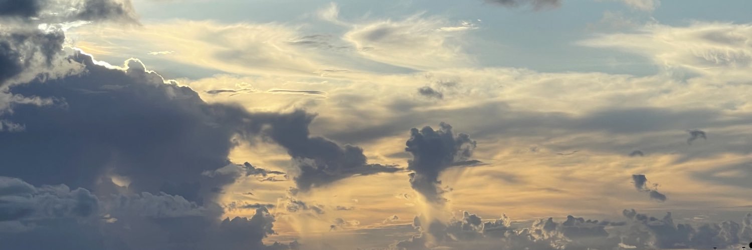 PvhwX's profile banner image