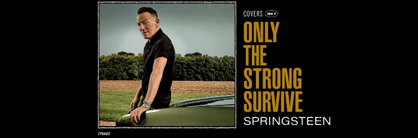 Bruce Springsteen banner