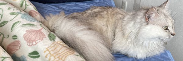 B6QLna1KRqVq4j8 Profile Banner
