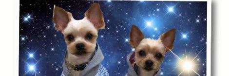 くぅ・かい ママ banner