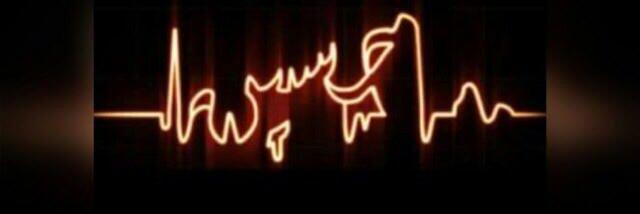MMFX100's profile banner image