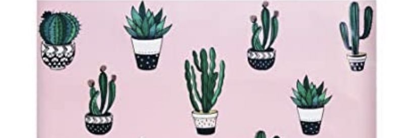 PinkCactusPosh's profile banner image