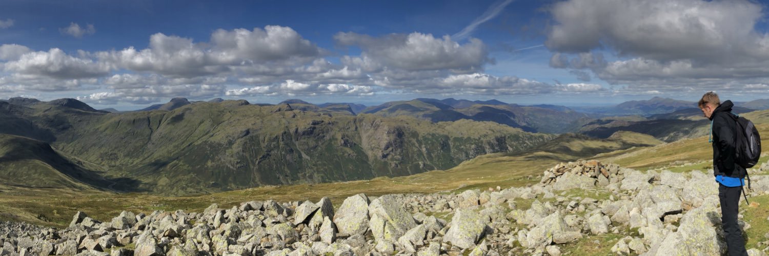 David Wallace banner