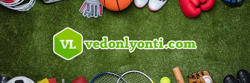 vedonlyonti_com's profile banner image