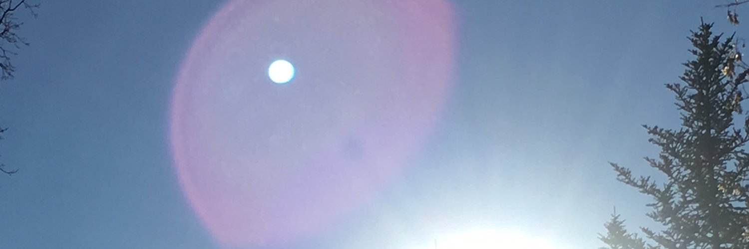 MichelleRutman's profile banner image