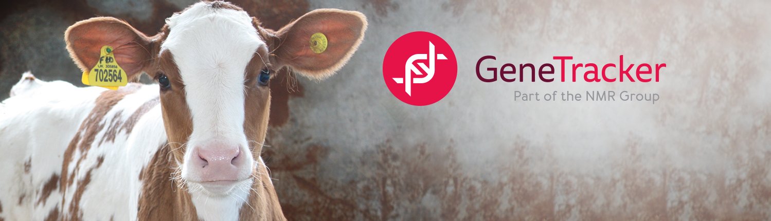igenetrack's profile banner image