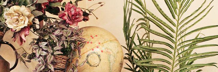 dandelionandbee's profile banner image