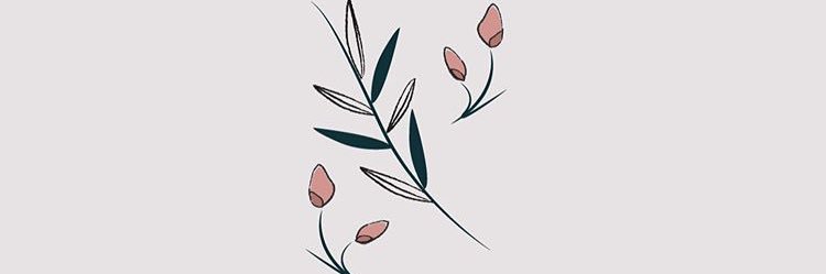summerf711's profile banner image